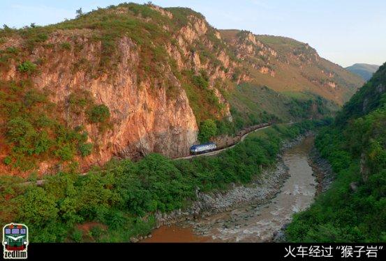 “龙行龘龘,前程朤朤”,九圣源医疗科技资本战略发布仪式盛大召开