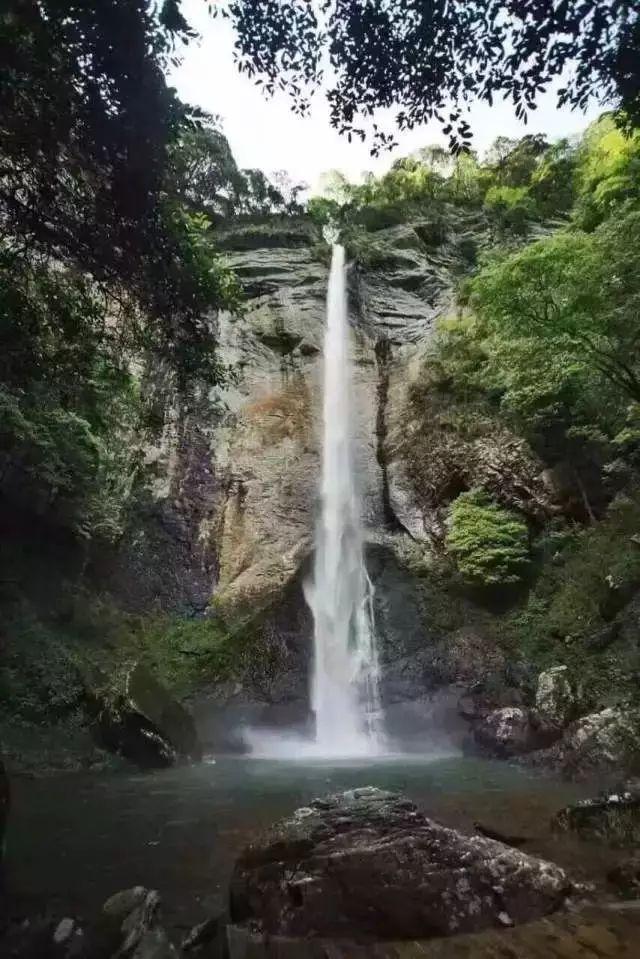 阿斯顿维拉签下内德尔科维奇